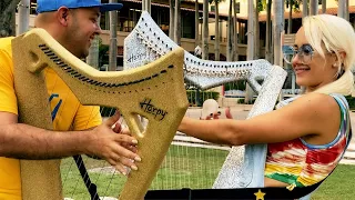 Mambo #5 (Electric Harp) - Kiki Bello & Arpa Martinez