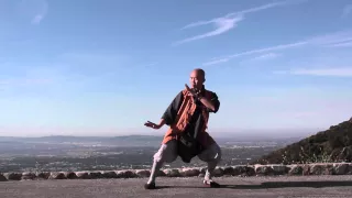 Master Shi Yan Yue Demonstrates Shaolin Chan Quan