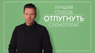 Кристофер Робин - Блиц-опрос при участии Юэна МакГрегора