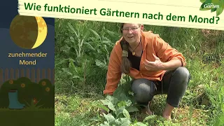 Mondgärtnern – Gärtnern im Einklang mit der Natur | MDR