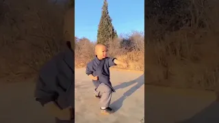Video of Shaolin Kung Fu Kid