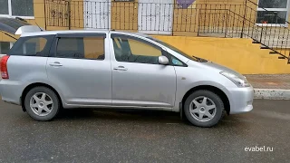 Toyota Wish 4wd eva коврики в салон и багажник evabel.ru 8800-222-48-45