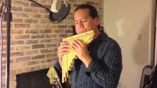 Best that you can do (Arthur's Theme) - Panflute