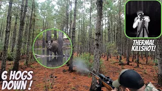 Spot and Stalk Hog Hunting in Florida 2021!