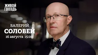 Валерий Соловей / Персонально ваш // 16.08.2022 @bonus_professor