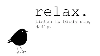 Calming Bird Songs on a Spring Evening - Birds Singing - Relaxing Sound of Nature