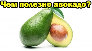 Чем полезно авокадо для организма человека?