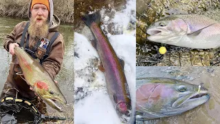 Where When & How To Catch Steelhead In The River / Great Lakes Steelhead Life Cycle & Habits