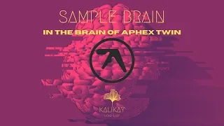SampleBrain in the brain of Aphex Twin #samplebrain #aphextwin
