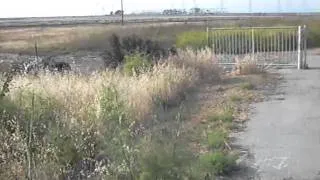 Railroad line to burned bridge bay crossing East Palo Alto