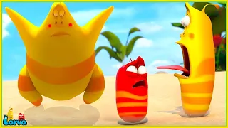 Larva Animation New Episodes 2024: Practice flying | Best Cartoons 2024 | Cartoon Compilation