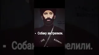 Достойный сын своего народа. Абрек Зелимхан Гушмазукаев