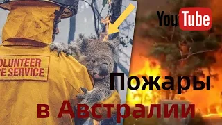 Австралия в сезон пожаров!!!  Australia in the fire season!!!!