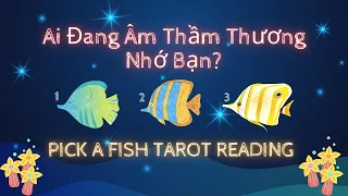 Ai Đang Âm Thầm Thương Nhớ Bạn? 👀😩❤️#xemtarot