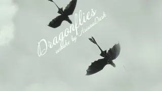 Dragonflies//Night x Night//Remake