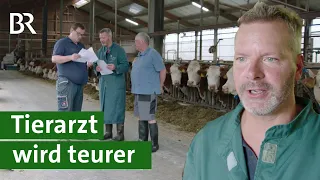 Mehr Geld für Tierarzt: Landwirte kritisieren Preiserhöhung für Behandlung im Stall | Unser Land BR