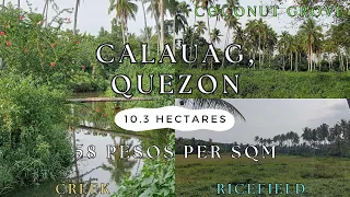 16A-299 Farmlot along brgy. road|Ricefield and Coconut grove |see description for details