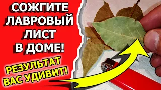 Что будет, если поджечь лавровый лист в доме