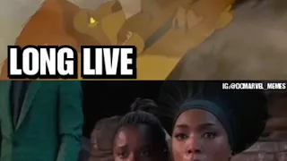 LONG LIVE THE KING [the lion king / black panther]