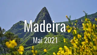Madeira - Levadawandern auf der Blumeninsel || Calheta || Caldeirao Verde || Pico do Arieiro
