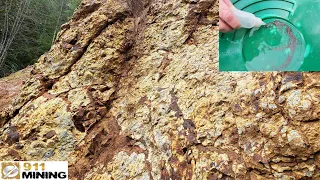 High Grade Gold From Gossan & A New Placer Gold Deposit!