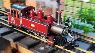 February 2024 Garden Railway Steam Up Part 2