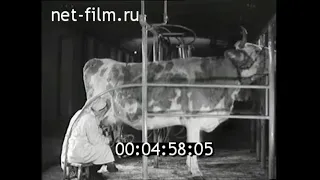 1957г. колхоз имени Хрущева Воронежская обл