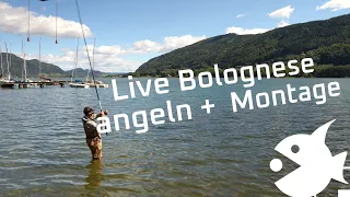 Wie angelt man am besten mit der Lauf Pose an der Bolognese Rute - Fishingprofi