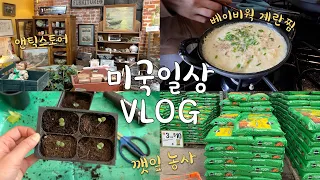 🇺🇸US VLOG👩🏻‍🌾 Gyeranjjim with Staub Baby Wok, Korean Grocery Haul, Antique Store, Basil Pesto