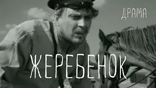 Жеребенок (1959) Фильм Владимира Фетина В ролях Евгений Матвеев Военный