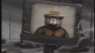 Smokey the Bear forest fire 1980's