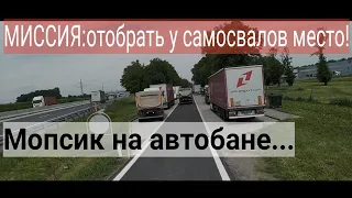 45 серия."-Ну пути!-Не путю!)))"Отстоять место на паркинге.Встретил мопса на автобане...