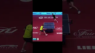 Wang Yang INCREDIBLE SMASH Against Moregard! #shorts #tabletennis