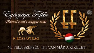 Egészséges Fejbőr - Rózsavirág (Hivatalos szöveges video / Official lyric video)