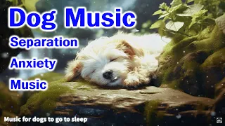 dog music for going out💖🐶 Sleep music, Separation Anxiety Music, Relax your dogs