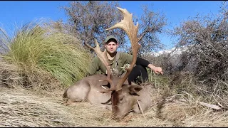 Huge Mountain Buck! Fallow Deer Hunting New Zealand