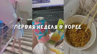 vlog: первая неделя в Корее | показываю, куда переехала