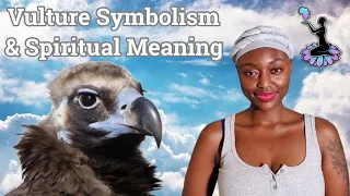 Vulture Spirit Animal Totem | Cleaning up the Mess