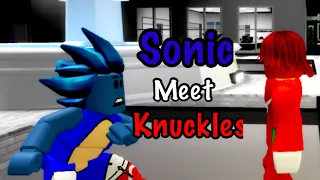 Sonic Meet Knuckles||but in roblox brookhaven|| Sonic Movie 2 (Warning Spoilers*)