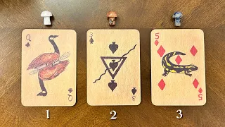 Urgent + Specific Instructions from YOUR Spirit Guides NOW‼️🪽⚠️  • Pick A Card 🔮• 𝒯𝒾𝓂𝑒𝓁𝑒𝓈𝓈