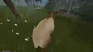 A Cow And Her Calves Go To A Stream Until...