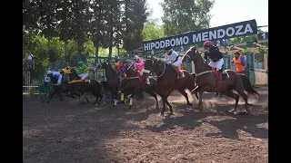 Volvieron las carreras en el Hipódromo de Mendoza