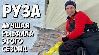 РУЗА. СТАРАЯ ДЫРКА-НОВЫЕ ОЩУЩЕНИЯ!!!