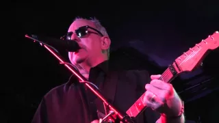 Take My Blues - Jimmy Thackery & The Drivers - LIVE @ the Arcadia Blues Club - musicUcansee.com