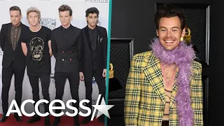 Harry Styles Gushes About One Direction: 'Deep Love For Each Other'