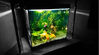 расслабляющий аквариум в 4K Anti Stress Relax
