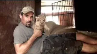 Kevin Richardson, a very special Lioness, & her Cubs