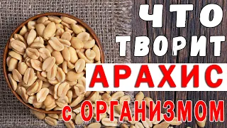 Что Будет с Организмом, если Есть 1 Ложку Арахиса Каждый День | Полезные Советы для Жизни