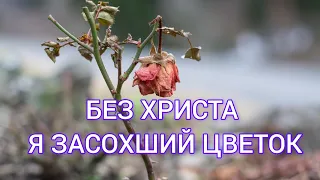 ||"БЕЗ ХРИСТА Я ЗАСОХШИЙ ЦВЕТОК"|| ||ХРИСТИАНСКАЯ ПЕСНЯ||