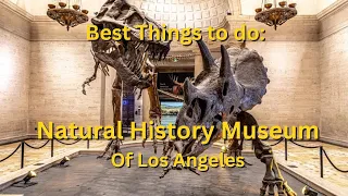 Best Things to Do: Natural History Museum of Los Angeles